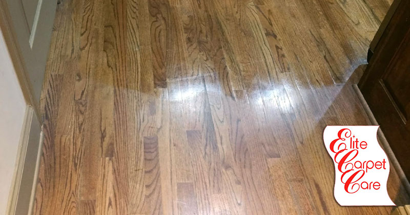 Elite Hardwood Cleaning Brantford On, Can You Get Hardwood Floors Professionally Cleaned