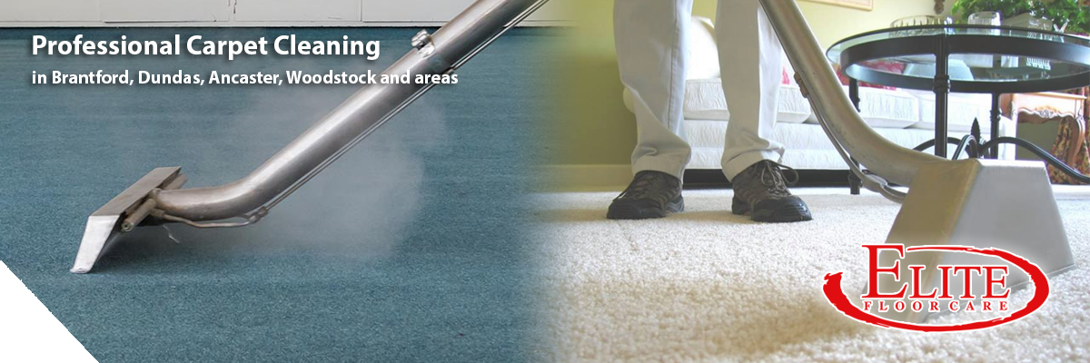 Elite Carpet Cleaning Services